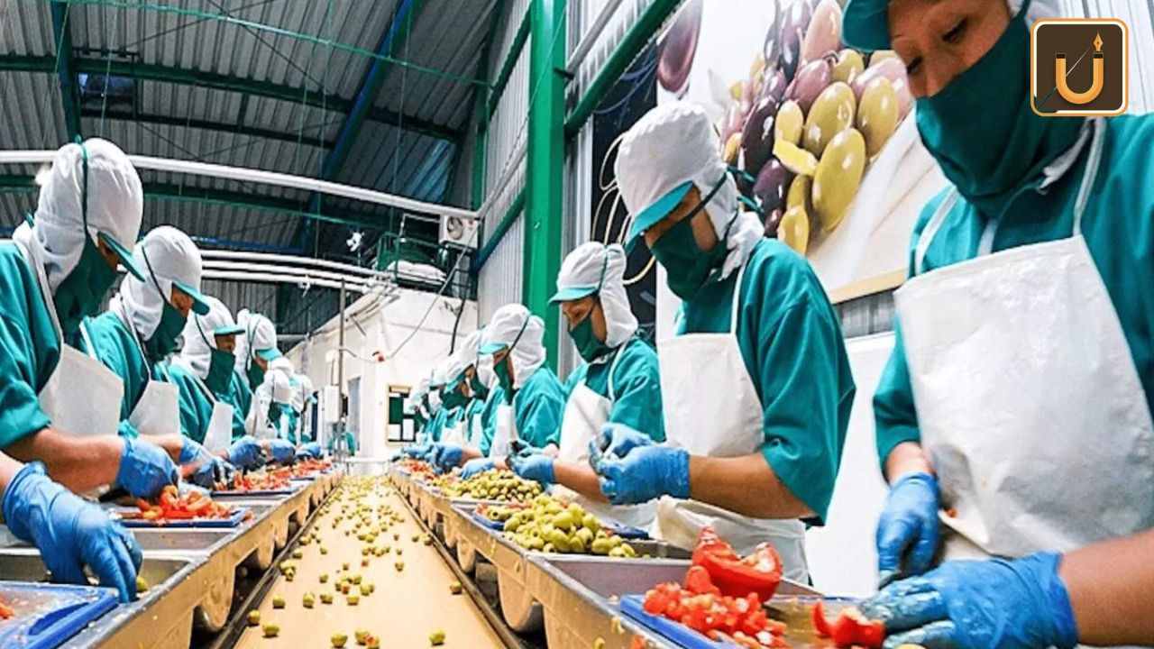 Usthadian Academy / Food Processing Industry Thrives With ₹7,000 Crore Investment Under PLI Scheme